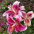 Donna Thompson's profile image