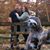 Marilyn Musselman's profile image
