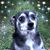 Alex Mundt's profile image