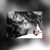 José Luiiz's profile image