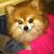 Barbara Powell's profile image