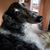 Robert L Streib's profile image