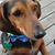 Suzanne Gowans's profile image