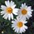 Wendy St Romain's profile image