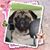 Elaine Sinclair's profile image