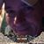 Jim Normand's profile image