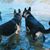 Lynnette Jeffrey's profile image