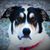 Jerry Thorson's profile image