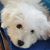 Maricel Beverly's profile image