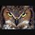 Hector Garcia's profile image