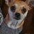 Amanda Hosman's profile image