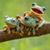 Barbara Messina's profile image