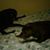 Peg Leierer's profile image