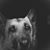 Jason Rigby's profile image