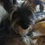 Teri Larry Stearns's profile image