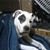 Dolores Meyers-Wildman's profile image