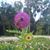 Sandra Gipe's profile image