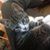 Lucy West's profile image