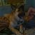 Angie Foster's profile image