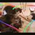 Lisa Mccabe's profile image