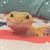 Cindy Lee's profile image