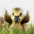 Wendy McGee's profile image