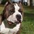 Cruz N.J. Neeley's profile image