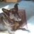 Terry Tiffany's profile image