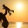 Melissa Allred's profile image