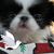 Cynthia Haynes Bodenhamer's profile image