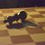 Everett Meehling's profile image