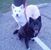 Kimberly Snider-Eisenmann's profile image