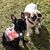 Angel McCoy's profile image