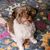 Addy McKeel Stouffer's profile image