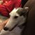 Denise Dunnigan Emmer's profile image