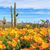 Nancy Chasteen Fritzler's profile image