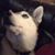 Amanda Young's profile image