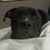 Judi A Clark's profile image