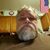 Nick Schoenberger's profile image
