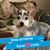 Maggie Stultz Spencer's profile image