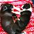 Rhonda Krumroy's profile image