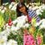 Pelita Ski's profile image