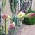 Judy Feldt's profile image