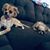 Jolisa Doakes's profile image