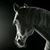 DeAnna Martin's profile image