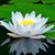 Kathy Gammon's profile image