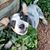 Karen Ann Riley's profile image