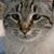 Stephanie Arthurs's profile image