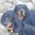 Wendi Lynne Dowling-Mitchell's profile image