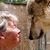 Cathy Hardymon's profile image